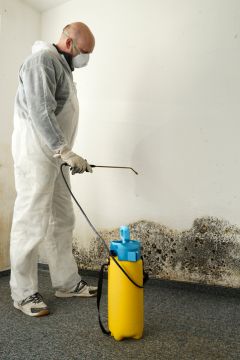 Indianapolis Mold Removal Prices by Twin Starz Dryout LLC