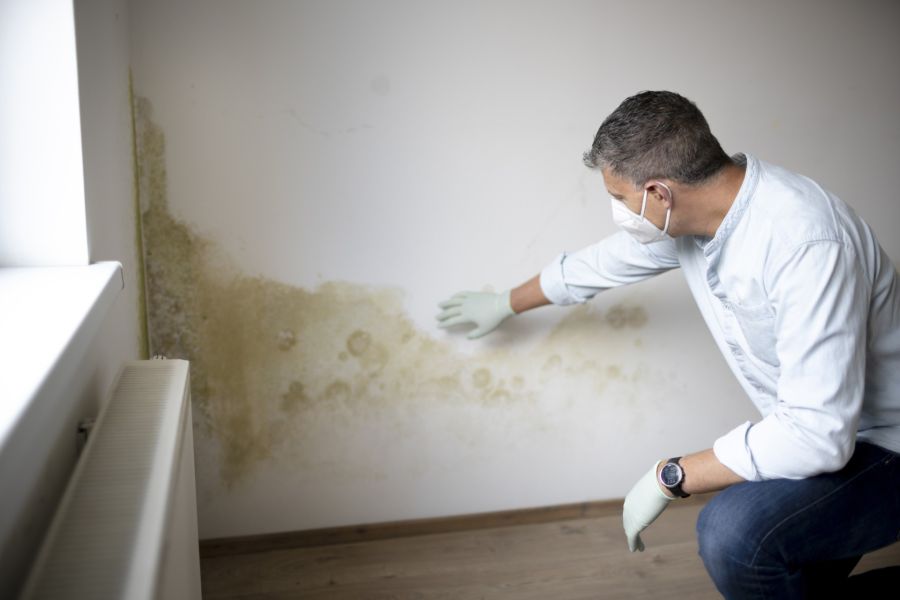 Mold Removal Prices by Twin Starz Dryout LLC
